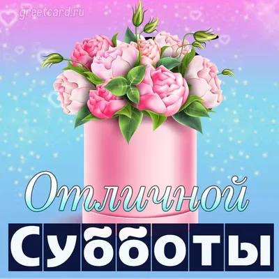 ❤❤❤Отличных выходных в любую погоду! | Шелковый Рай | Санкт-Петербург |  ВКонтакте