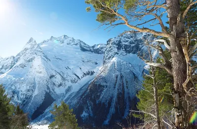 Современный горнолыжный курорт Домбай – сердце седых Кавказских гор. Travel  NEWS LTD.