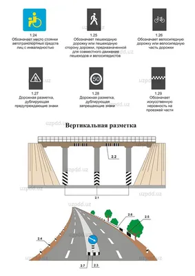 ПДД Украины, раздел Дорожная разметка, пункт 1.2 (широкая сплошная линия