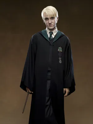 Ростовая фигура Драко Малфой (Draco Malfoy) вид 2 (615x1800 мм) - купить по  выгодной цене | Магазин шаблонов Принт100