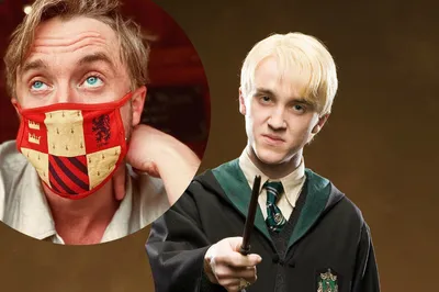 Ростовая фигура Драко Малфой (Draco Malfoy) вид 6 (550х1800 мм) - купить по  выгодной цене | Магазин шаблонов Принт100