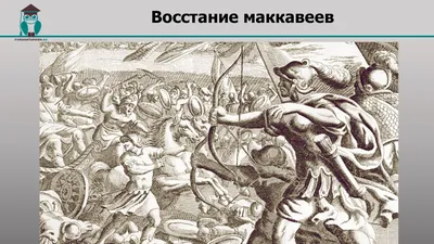 Израиль и Палестина: история конфликта кратко. Почему Израиль не признает  Палестину? | Почемучкин | Дзен