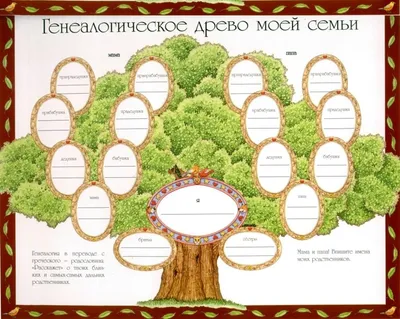 Генеалогическое древо - генеалогическое дерево семьи, цены на составление,  фото