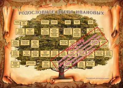 Делаем генеалогическое дерево своей семьи своими руками. Готовые шаблоны. |  Генеалогическое древо, Семейное дерево проекты, Семейное дерево шаблоны