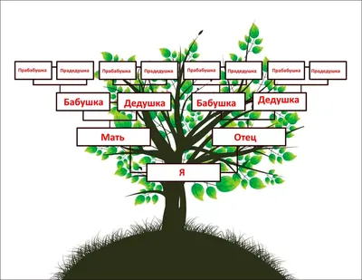 генеалогическое ДРЕВО. Заказать оформление картины родословного дерева.