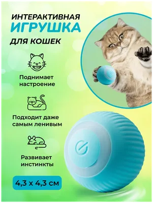 Игрушки для кошек интерактивные мячик игрушка интерактивная — купить в  интернет-магазине по низкой цене на Яндекс Маркете