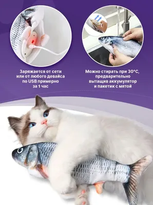 Игрушка для кошек \"Рыбка с двигающимся хвостом\" купить по цене 299 ₽ в  интернет-магазине KazanExpress