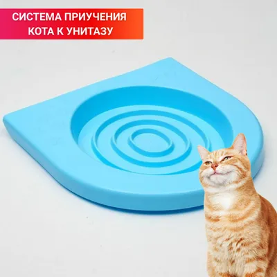 Интерактивная игрушка для кошек Yo-Yo Elite c поднимающимся и опускающимся  шариком VCT (ID#1959463161), цена: 795 ₴, купить на Prom.ua