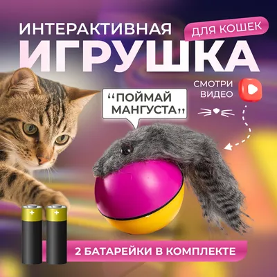 🐾 Купить Rurri Игрушка для кошек Рыба с двигающимся хвостом, 25 см  4680368316812, цена 799 ₽ в магазине или с доставкой на дом в городе Москва  | Fraulen