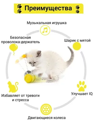 Липидоз печени у кошек и котов - лечение, симптомы, прогнозы