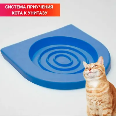 Интерактивная игрушка для кошек Yo-Yo Elite c поднимающимся и опускающимся  шариком VCT (ID#1959463161), цена: 795 ₴, купить на Prom.ua