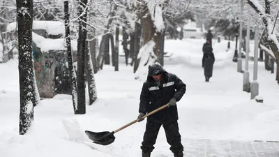 Известный актер работает дворником: зачем сыгравший Горшка в «Короле и  Шуте» Константин Плотников продолжает мести улицы - KP.RU