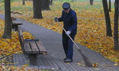 женщина-дворник подметает улицу в солнечный день Стоковое Изображение -  изображение насчитывающей люди, ыборка: 215535639