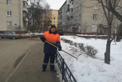 Первый дворник на деревне - «Местный спрос»