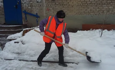 Примерзли дворники в машине: что нужно делать (а чего делать нельзя)  Автомобильный портал 5 Колесо