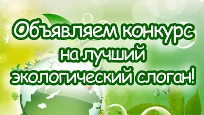 Подмосковное отделение Российского экологического общества выступило  организатором конкурса «ЭКОПОДМОСКОВЬЕ-2020» • Российское экологическое  общество