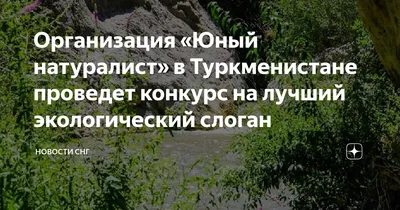 Экологическая акция\"Бумажный БУМ\" | МБОУ СОШ № 15 г.Шахты Ростовской области