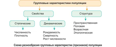 706 Зона санитарной охраны водоема (2893) купить в Минске, цена