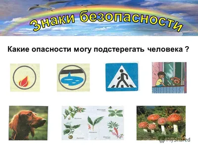 Знак охраны воды (много фото) - treepics.ru