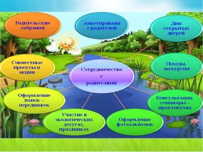 Муниципальное бюджетное общеобразовательное учреждение «ООШ №13» - Экологическое  воспитание