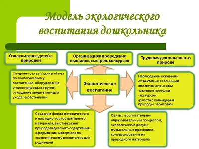 Экологическое воспитание студентов ПетрГУ» :: Петрозаводский  государственный университет