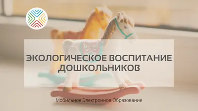 Состоялась дискуссия «Экологическое образование и просвещение для поддержки  реализации национального проекта «Экология» • Российское экологическое  общество