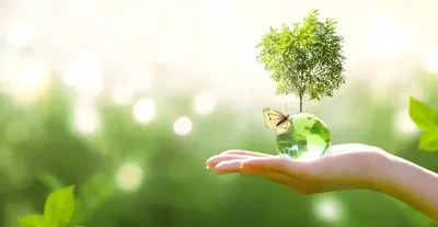 Защита экологии | Допомога Справою