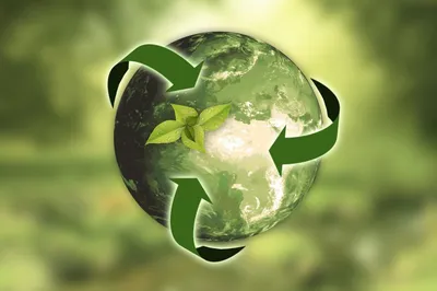 Экология и природопользование, направленность «Экология» - Официальный сайт  НИМИ ДГАУ