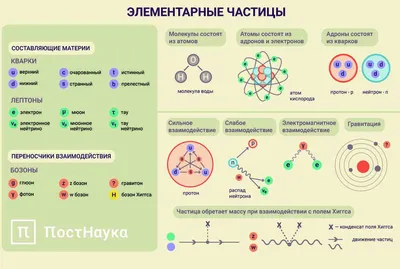 Как устроен процесс распада элементарных частиц?