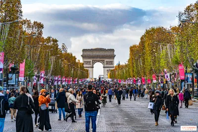 Картина \"Картина Champs Elysees, Arc de Triomphe (Елисейские Поля,  Триумфальная арка, копия Кристины Виверс) \" 50x60 AB151001 купить в Москве