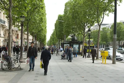 ПАРИЖ. Елисейские Поля (Champs-Élysées) 1860-1980. Обсуждение на  LiveInternet - Российский Сервис Онлайн-Дневников