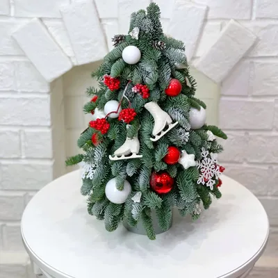 Светящаяся новогодняя елка в колбе Christmas Tree - BERI.UA — Жить легче |  Интернет-магазин