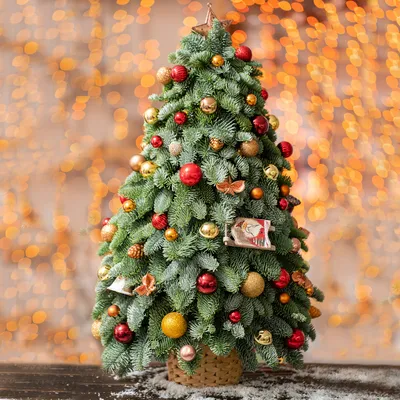 Выставка «Новогодние елки в ГУМе на Красной площади» - 古姆商场最新活动信息
