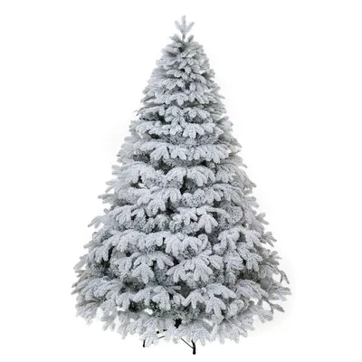 Живая датская новогодняя елка (Abies, срезанная) 1,5-1,7м купить в Минске