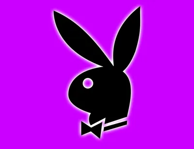 Playboy logo as an app icon. Clipping path included Stock Photo - Alamy