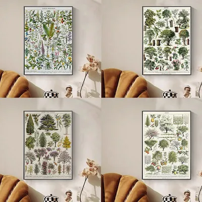 Энциклопедия растений, холст, живопись, плакаты с растениями и принты для  детей, настенные художественные картины для гостиной, спальни, безрамные –  лучшие товары в онлайн-магазине Джум Гик