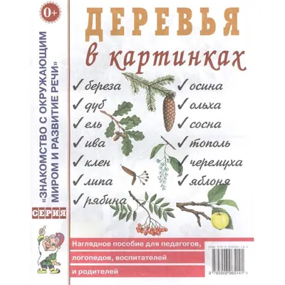 Деревья в картинках — купить книги на русском языке в Польше на Booksrus.pl