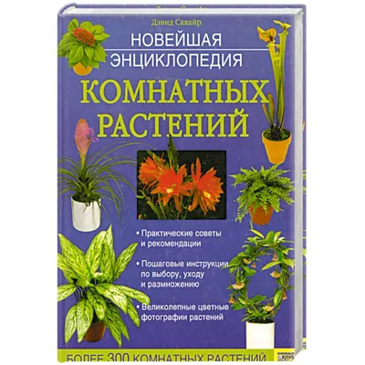 Энциклопедия комнатных растений в картинках обои