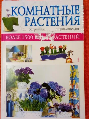 Большая энциклопедия комнатных растения, иллюстрированная. качественные  фотографии. — цена 400 грн в каталоге Энциклопедии ✓ Купить товары для  спорта по доступной цене на Шафе | Украина #81897900