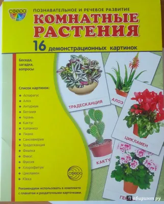 Иллюстрация 16 из 21 для Демонстрационные картинки \"Комнатные растения\" |  Лабиринт - книги. Источник: GELD