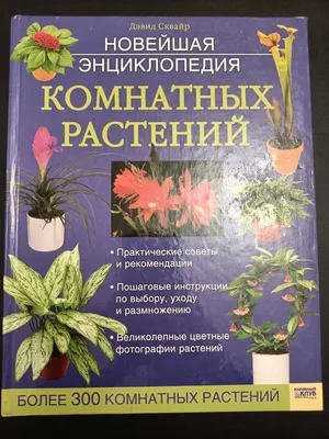 Энциклопедия комнатных растений — цена 159 грн в каталоге Дом и хобби ✓  Купить товары для спорта по доступной цене на Шафе | Украина #111198846