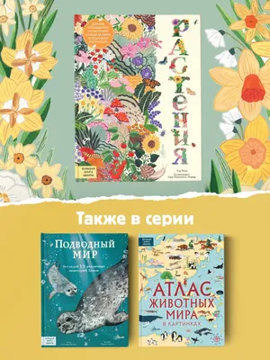 1997 Книга \"КОМНАТНЫЕ РАСТЕНИЯ\" Хельмут Янтра. 365 советов Цветы. Хобби.  Burda