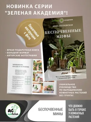 Plantorama - декоративные комнатные растения, энциклопедия, фото и уход