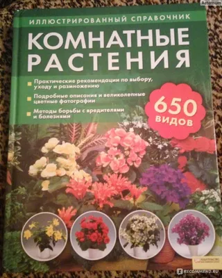 Картина Летний пейзаж маслом \"Цветы и горы, горы и цветы N3\" 60x90 AR181102  купить в Москве