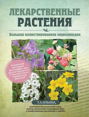 Картинки название всех цветов растений (67 фото) » Картинки и статусы про  окружающий мир вокруг