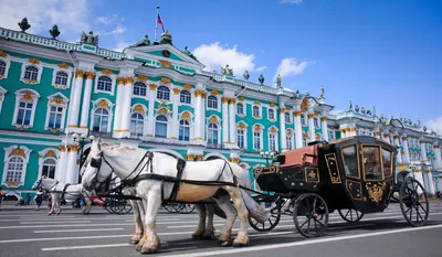 Эрмитаж в Санкт-Петербурге - фото, адрес, режим работы, экскурсии