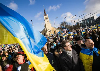 Эстония установила противотанковые заграждения на границе с Россией -  Русская служба The Moscow Times