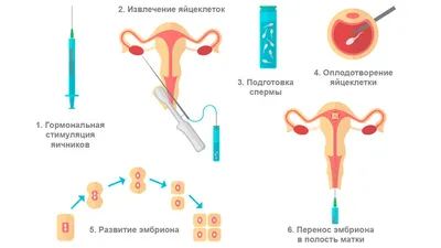 Сенсорное развитие детей раннего возраста — сенсорное воспитание  дошкольников