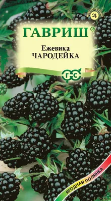 Ежевика Тонфри (в пакете) купить недорого в интернет-магазине товаров для  сада Бауцентр