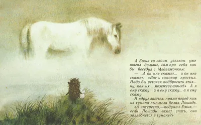 Идеи на тему «Ёжик в тумане» (63) | ежики, туман, смешные открытки